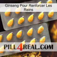 Ginseng For Reinforcing Kidney cialis2